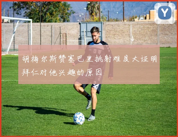 胡梅尔斯赞塞巴里挑射难度大证明拜仁对他兴趣的原因